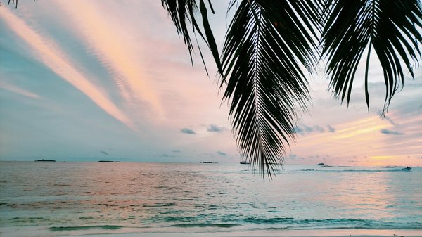 Eco-tourisme : locations durables en bord de mer